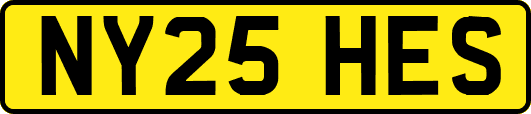 NY25HES