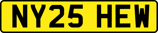 NY25HEW