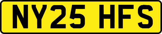 NY25HFS