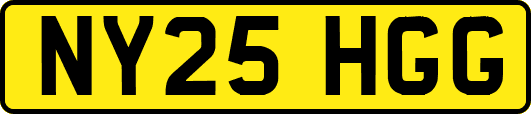 NY25HGG