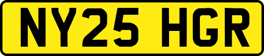 NY25HGR