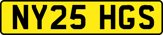 NY25HGS
