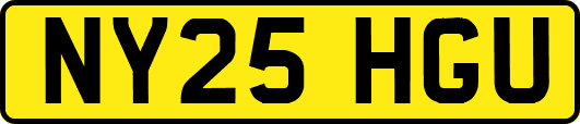 NY25HGU