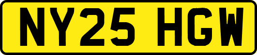 NY25HGW