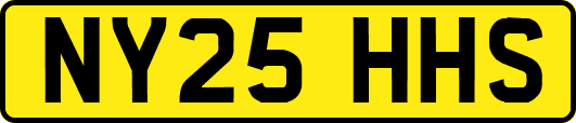 NY25HHS