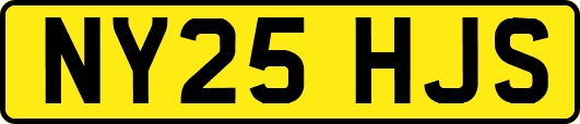 NY25HJS