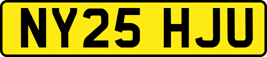 NY25HJU