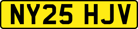 NY25HJV