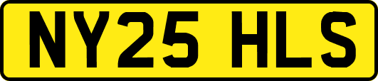 NY25HLS