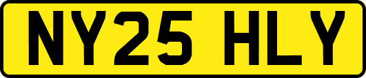 NY25HLY