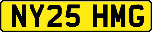 NY25HMG