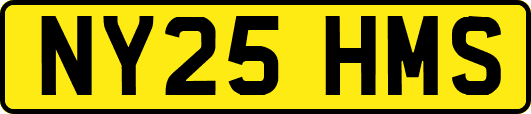 NY25HMS