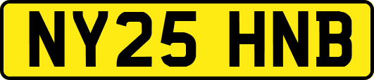 NY25HNB
