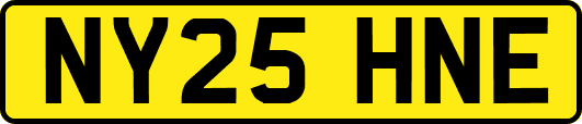 NY25HNE