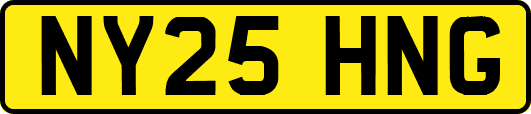 NY25HNG