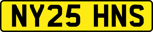 NY25HNS