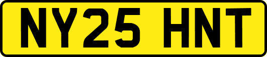 NY25HNT