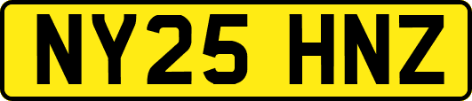 NY25HNZ