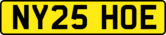 NY25HOE