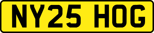 NY25HOG
