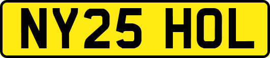 NY25HOL