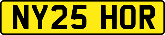 NY25HOR