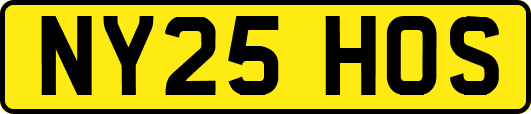 NY25HOS