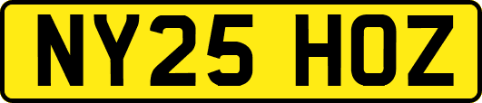NY25HOZ