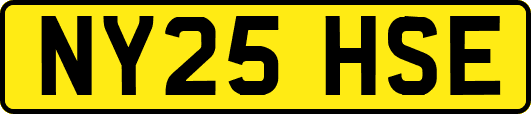 NY25HSE