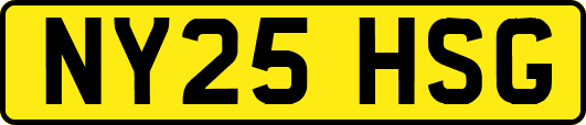 NY25HSG