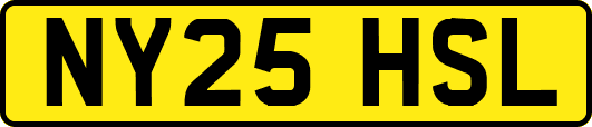NY25HSL