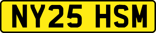NY25HSM