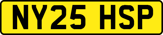 NY25HSP