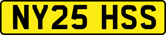NY25HSS
