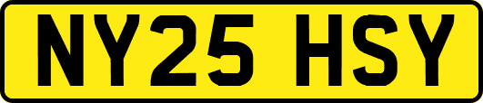 NY25HSY