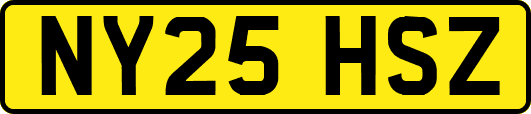 NY25HSZ