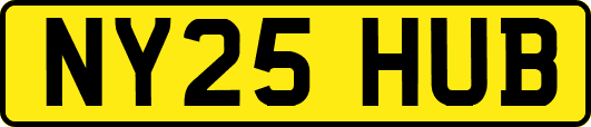 NY25HUB