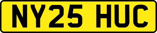 NY25HUC