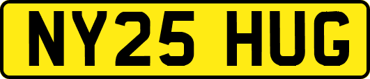 NY25HUG