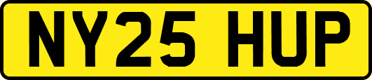 NY25HUP