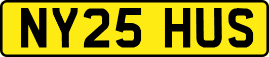 NY25HUS
