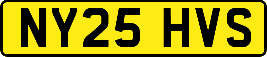 NY25HVS
