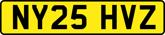 NY25HVZ