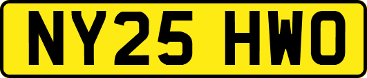 NY25HWO