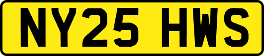 NY25HWS