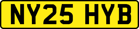 NY25HYB