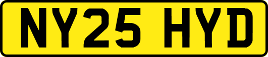 NY25HYD