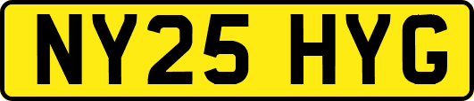 NY25HYG