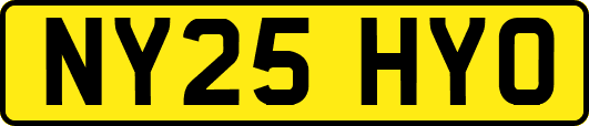 NY25HYO