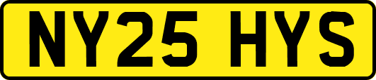 NY25HYS